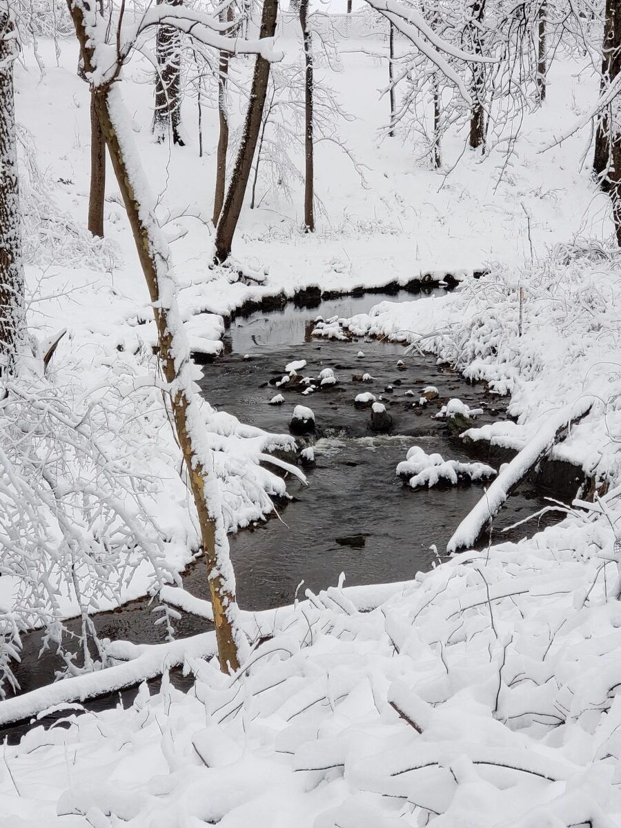 Snow covered creek