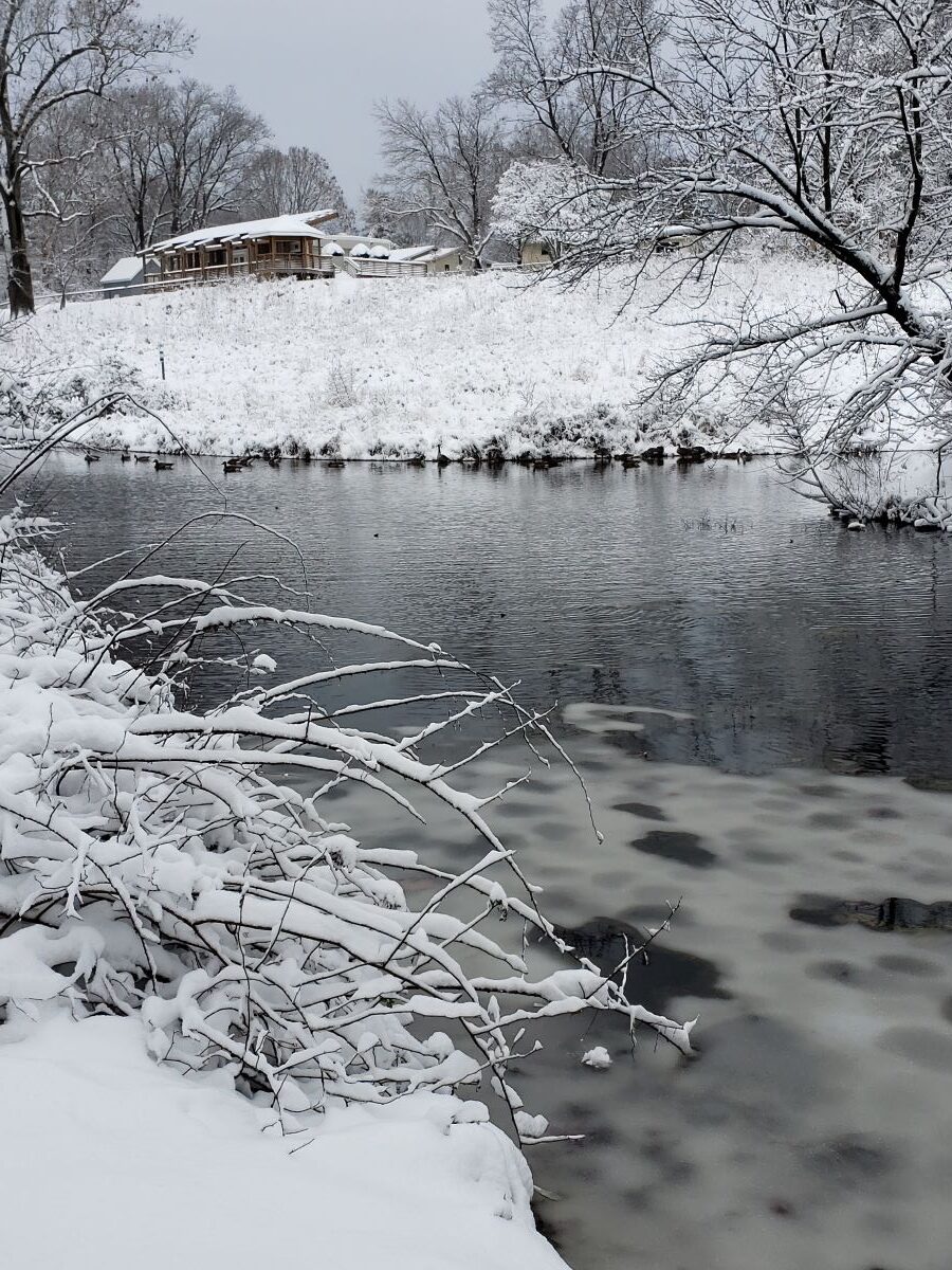 Snowfall at Maydale