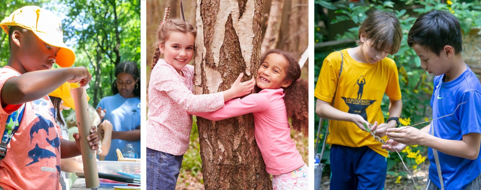 Maydale Nature Classroom - Summer Camps - Montgomery Parks