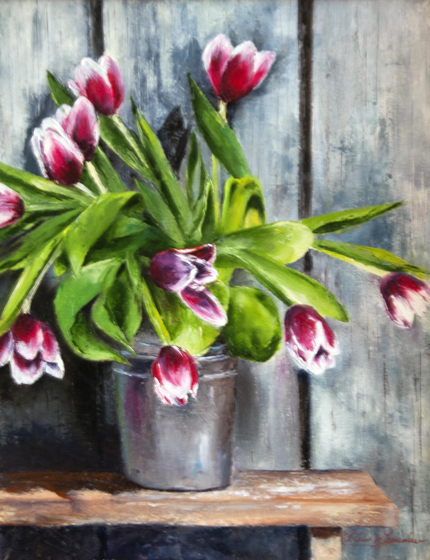 A painting of bouquet of red and white tulips with lush green leaves arranged in a silver metal bucket on a wooden surface against a rustic gray wooden wall.