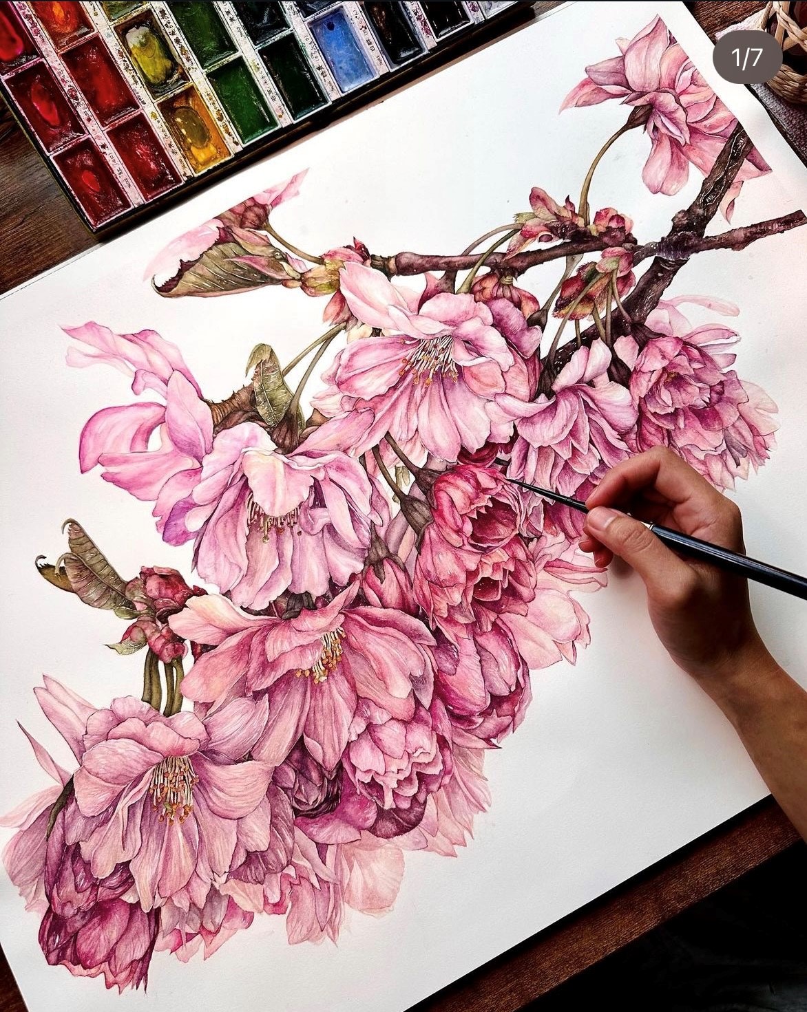 Photograph of a watercolor being painted. In the upper left is a trey of paint colors: reds, oranges, yellows, blues and purples. Below the trey is a rectangular canvas showing a painted branch with pink flowers. From the bottom right is the artists hand shown with a paintbrush painting a pink flower petal.