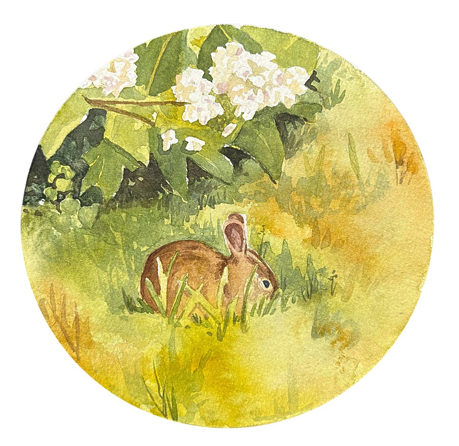Circular watercolor featuring a bunny in a field of yellow and green grass with some white flowers and green leaves behind it.