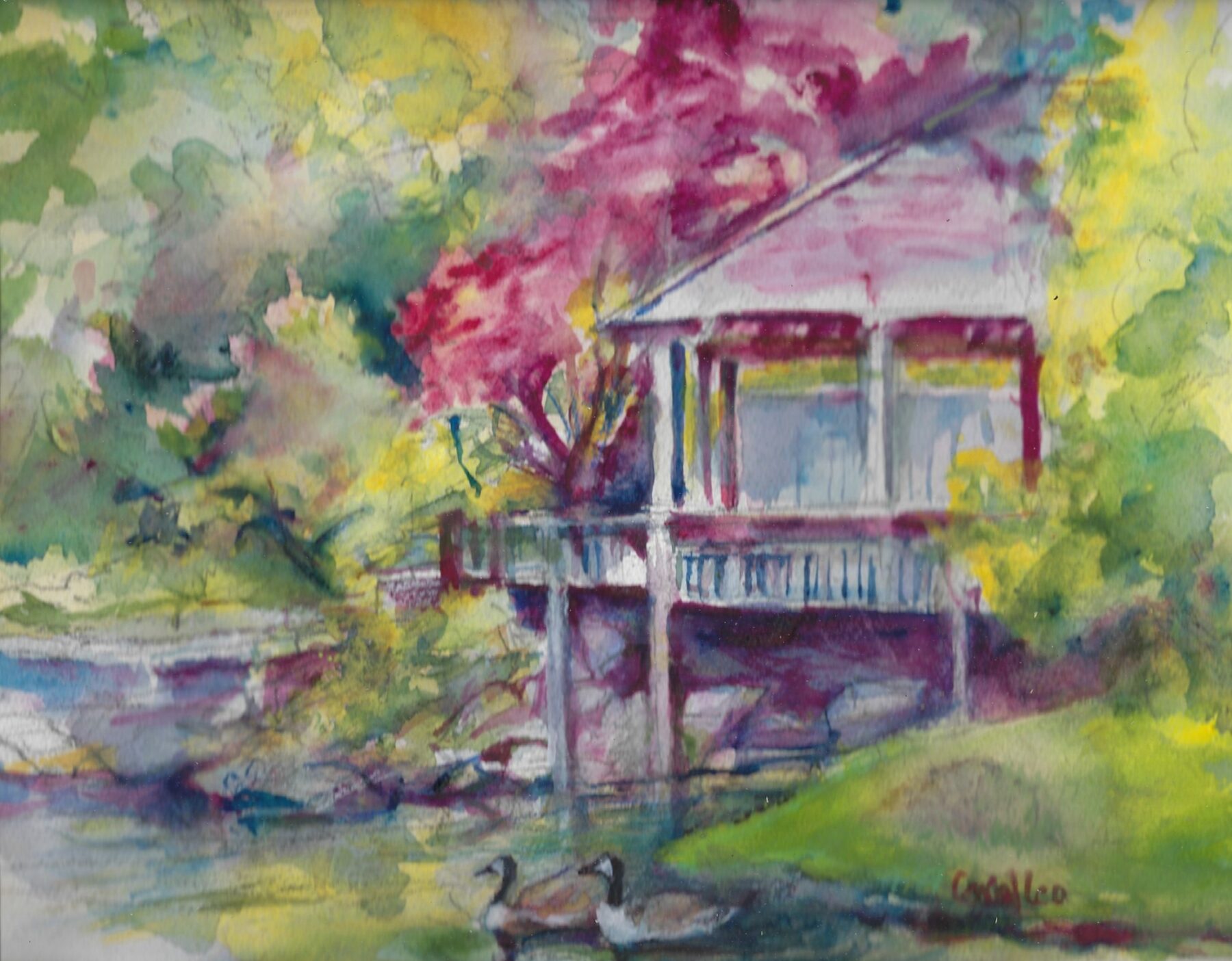 Rectangle watercolor painting featuring a pond in the foreground with two Canadian Geese swimming. In the middle is a Japanese style tea house build on pilons above the pond. The tea house is surrounded by green and pink trees.
