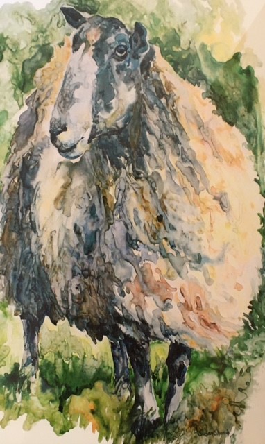 “Ewe” by Susan Shand Giclee print $250