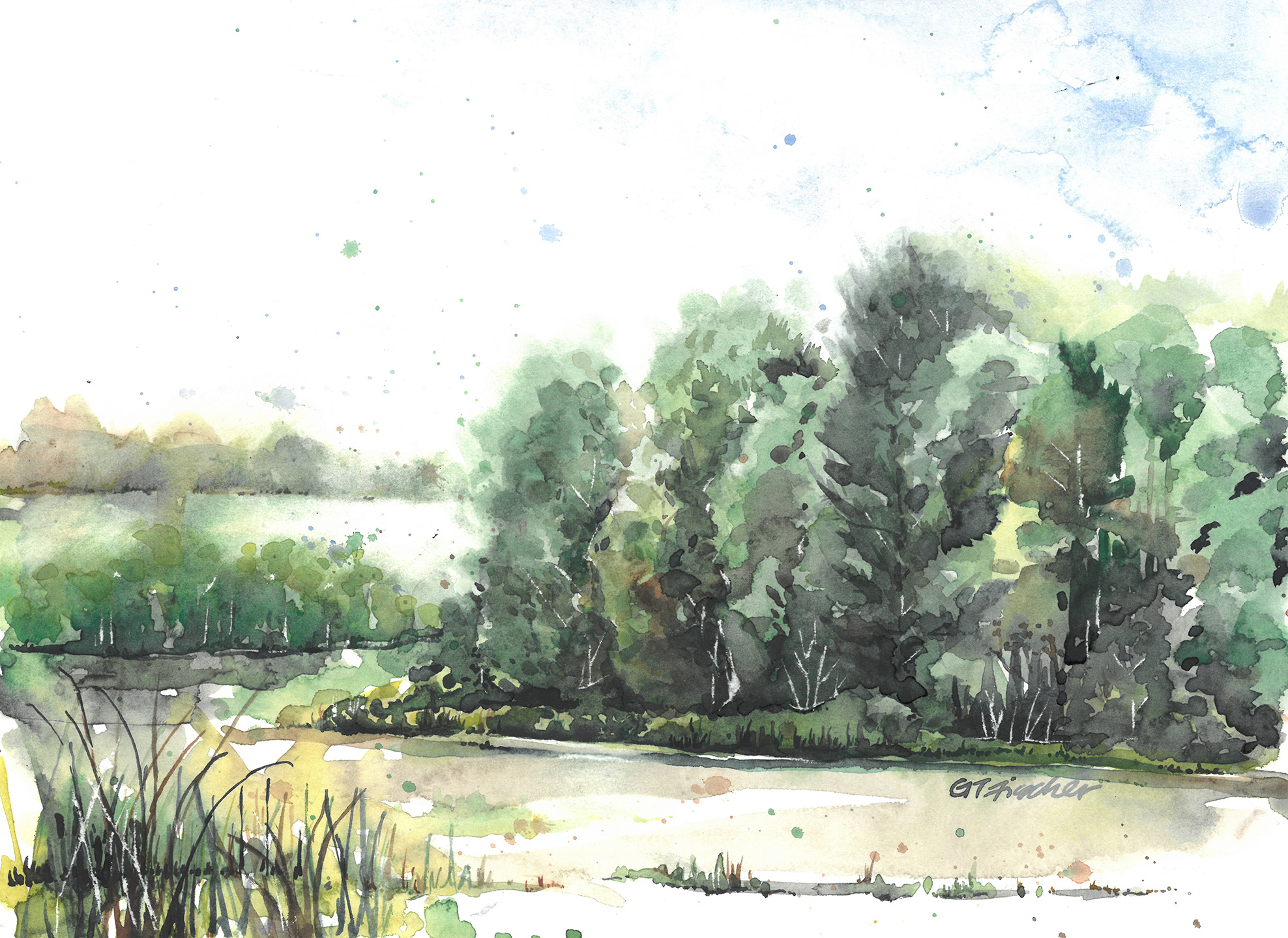Bog Watercolor by Gloria Tseng Fischer $300, Art Exhibit at Brookside Gardens
