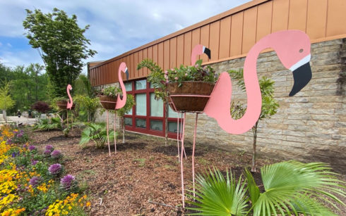 Pink metal flamingos with summer annual baskets on them located in the Visitor Center front bed