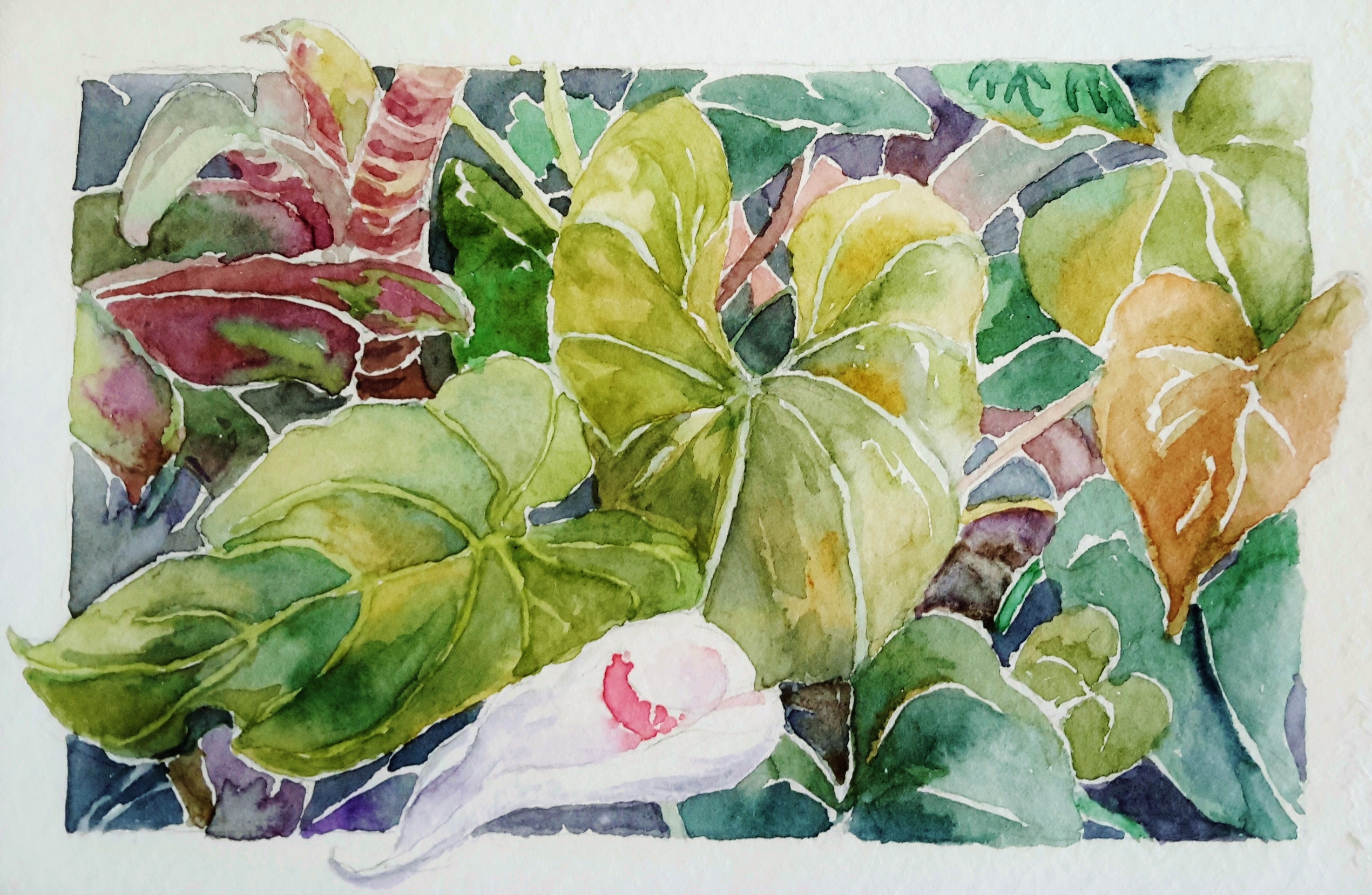 A Pinch of Green Watercolor Linda Greigg $225, Art Exhibit at Brookside Gardens