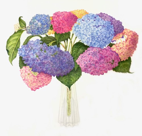 This work in colored pencil features a bouquet of pink, blue, yellow and purple hydrangea flowers in a glass vase. 