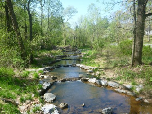 Stream section with restoration practices: step pools, cross vanes