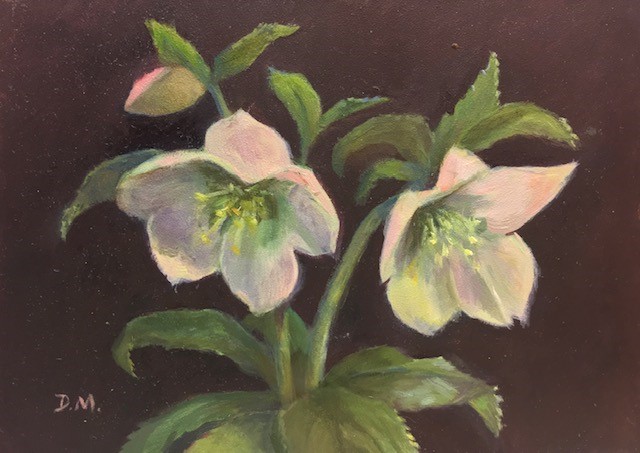 Lenten Roses by Debbie Miller $95, painting, Brookside Gardens