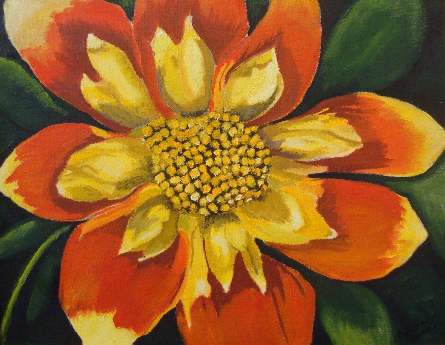 Orange Dahlia oil painting by Rebecca JacksonExhibit at Brookside Gardens