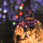 Glass Bell Bokeh photograph by Renee Ruggles $125