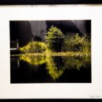 Reflection Pond by Renee Ruggles $200, photograph