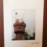 Still Lighting by Renee Ruggles $185, photograph
