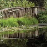 Wild Garden Bridge by Renee Ruggles $185, photograph, Brookside Gardens