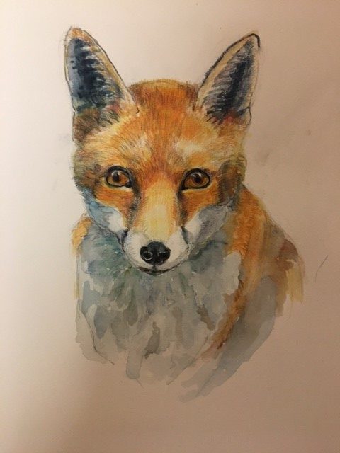 Fox by Susan Shand, painting of Red fox, Art Exhibit at Brookside Gardens