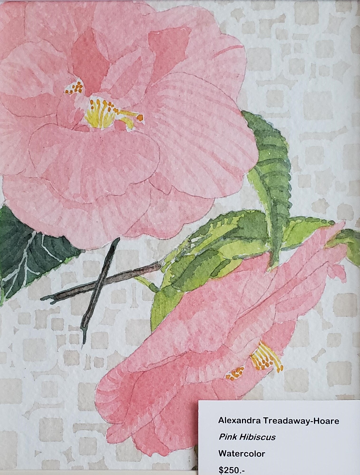 Pink Hibiscus by Alexandra Treadaway-Hoare $250, Painting, Brookside Gardens,