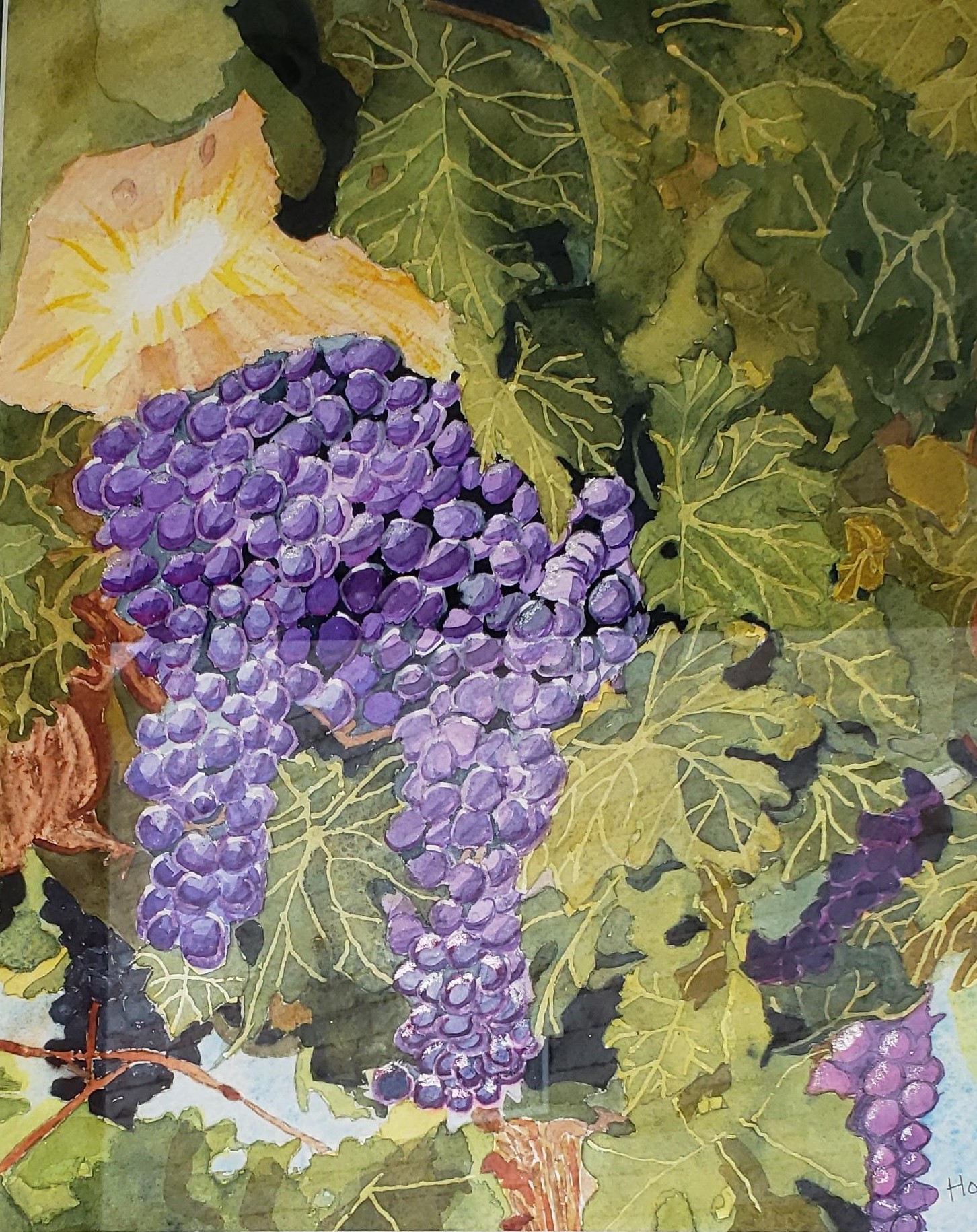 Wealth of Grapes by Alexandra Treadaway-Hoare $400, Painting, Brookside Gardens,