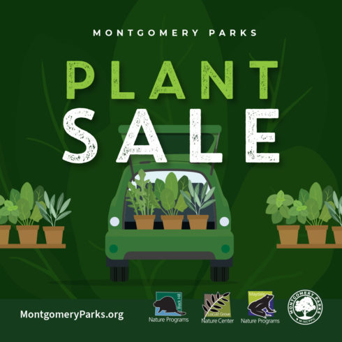 Dark green background with graphic of the back of a car and a plant , with the words Montgomery Parks Plant Sale