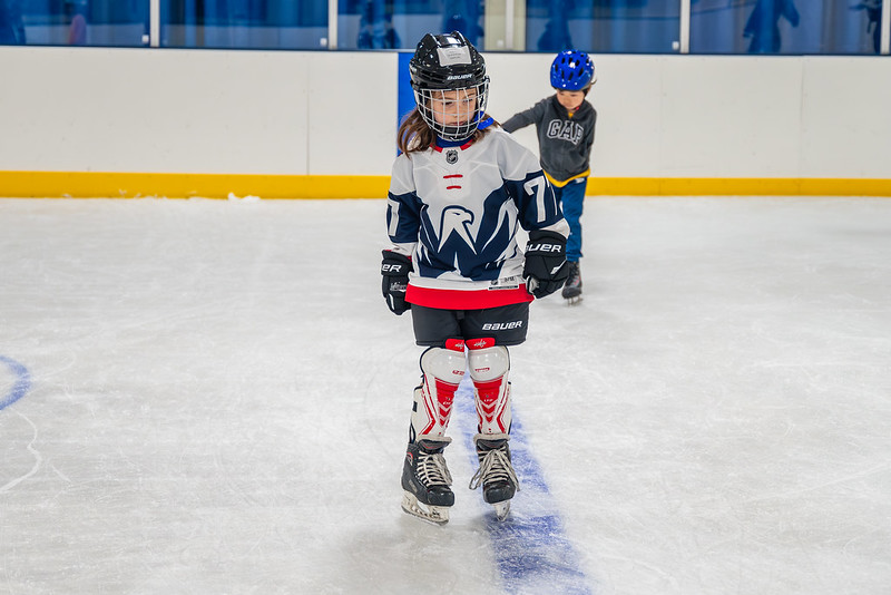 Hockey skater