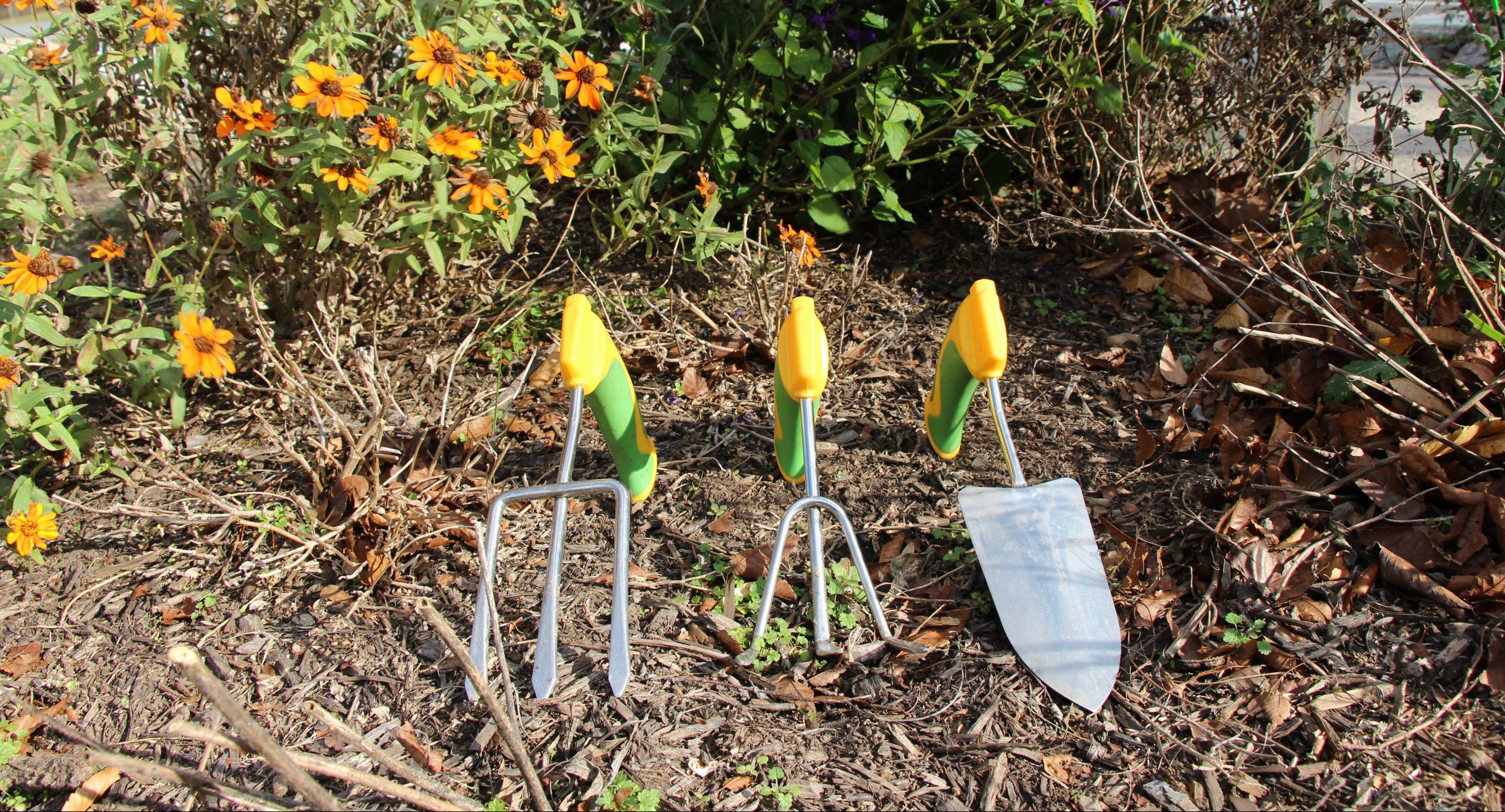 Adaptive Gardening Tools at Black Hill Nature Center