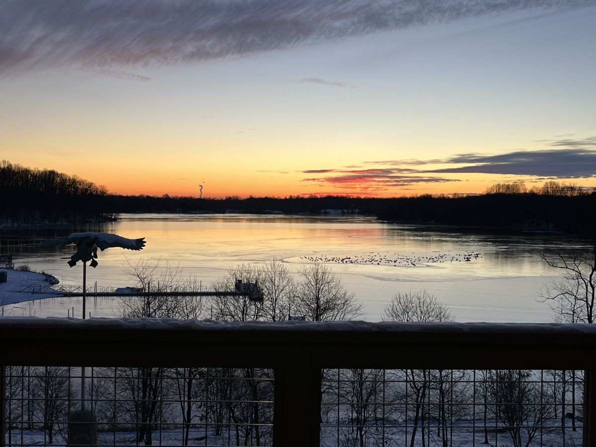 Little Seneca Lake covered in snow and ice with waterfowl.