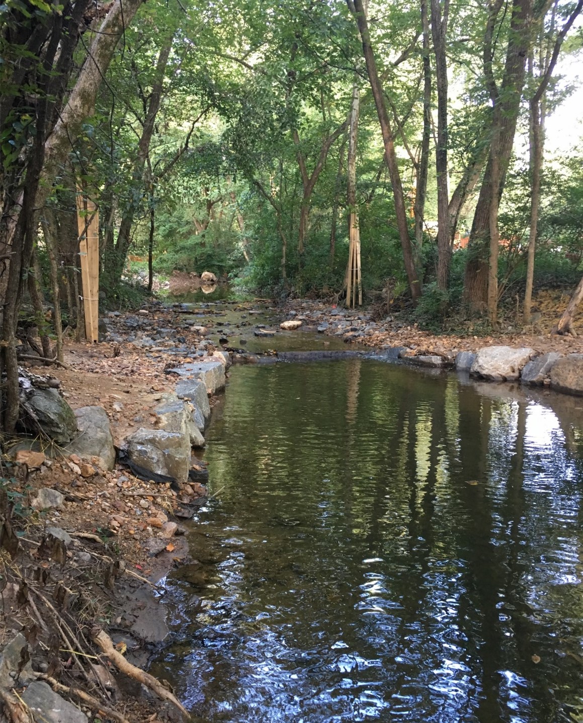 Stream in Sligo Creek Stream Valley Park