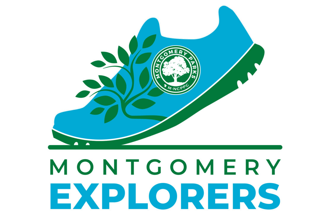 Montgomery Explorers Logo