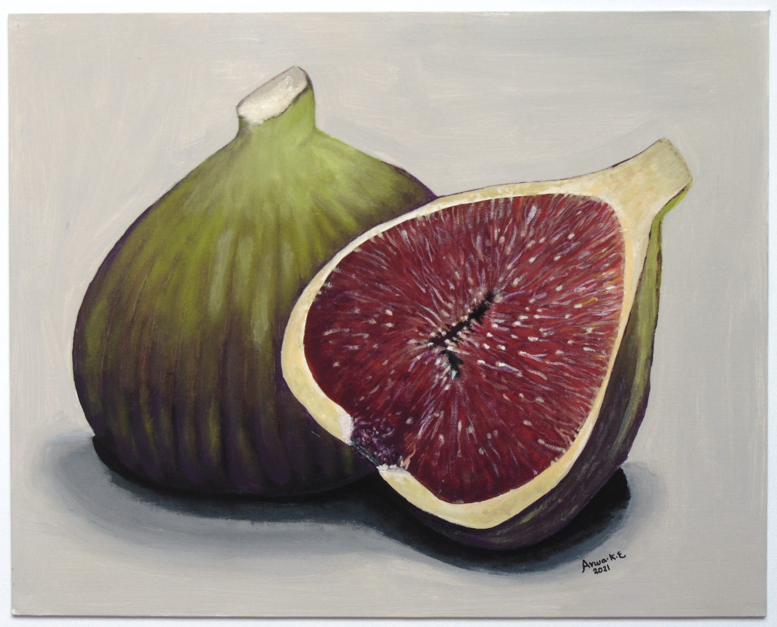 Painting of Figs by Arwa Khadr ElBoraei, Art exhibit at Brookside Gardens,