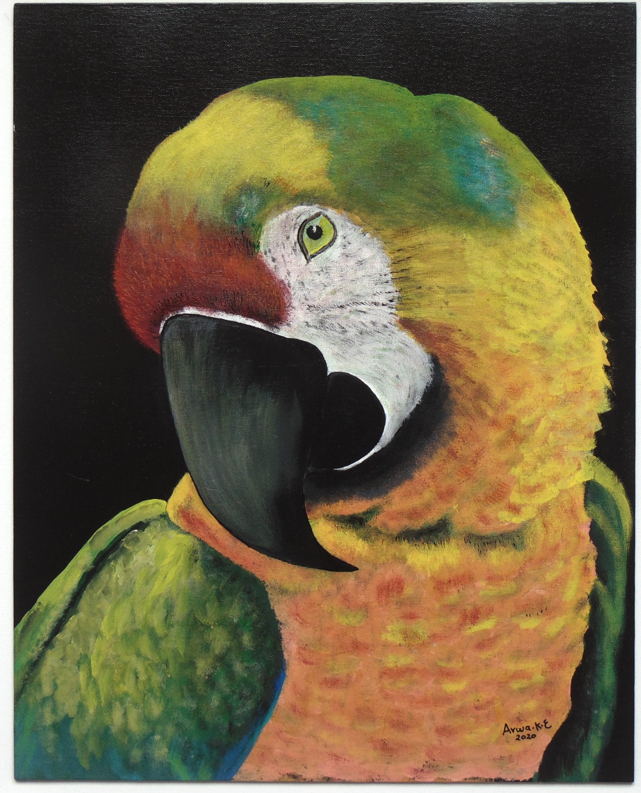 Painting of Happy Parrot by Arwa Khadr ElBoraei, Art exhibit at Brookside Gardens, Bird, Photograph, Beak, Organism, Parrot, Feather, Painting, Art