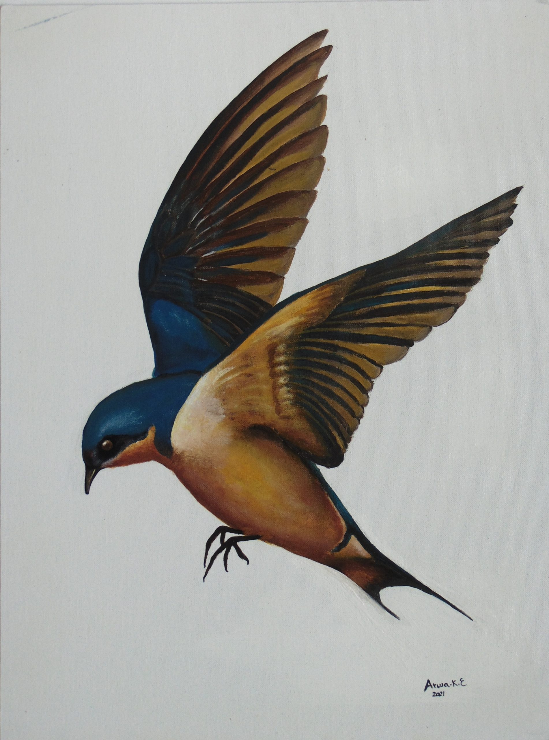 Swallow by Arwa Khadr ElBoraei $750 Acrylic on Canvas 18x24 inch