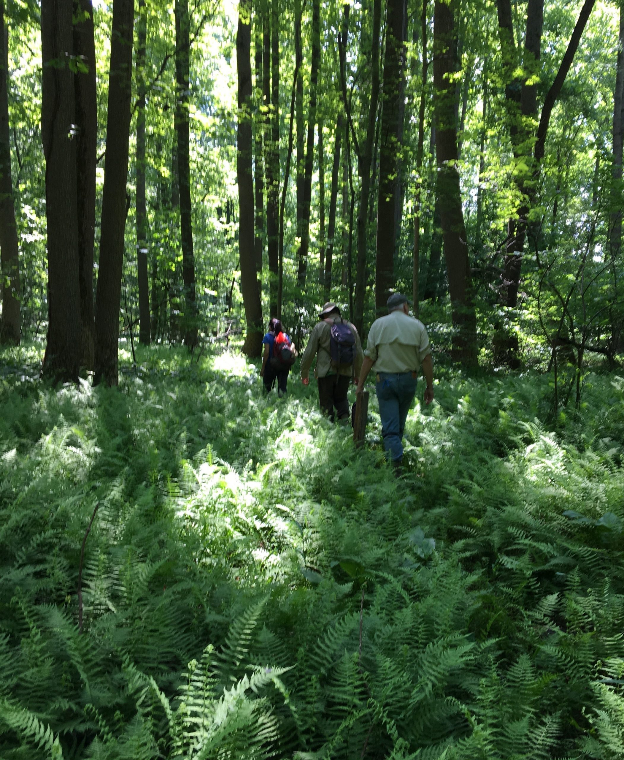Archaeology Staff and Volunteers Surveying 