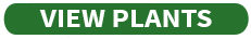 Green button graphic to View Plants