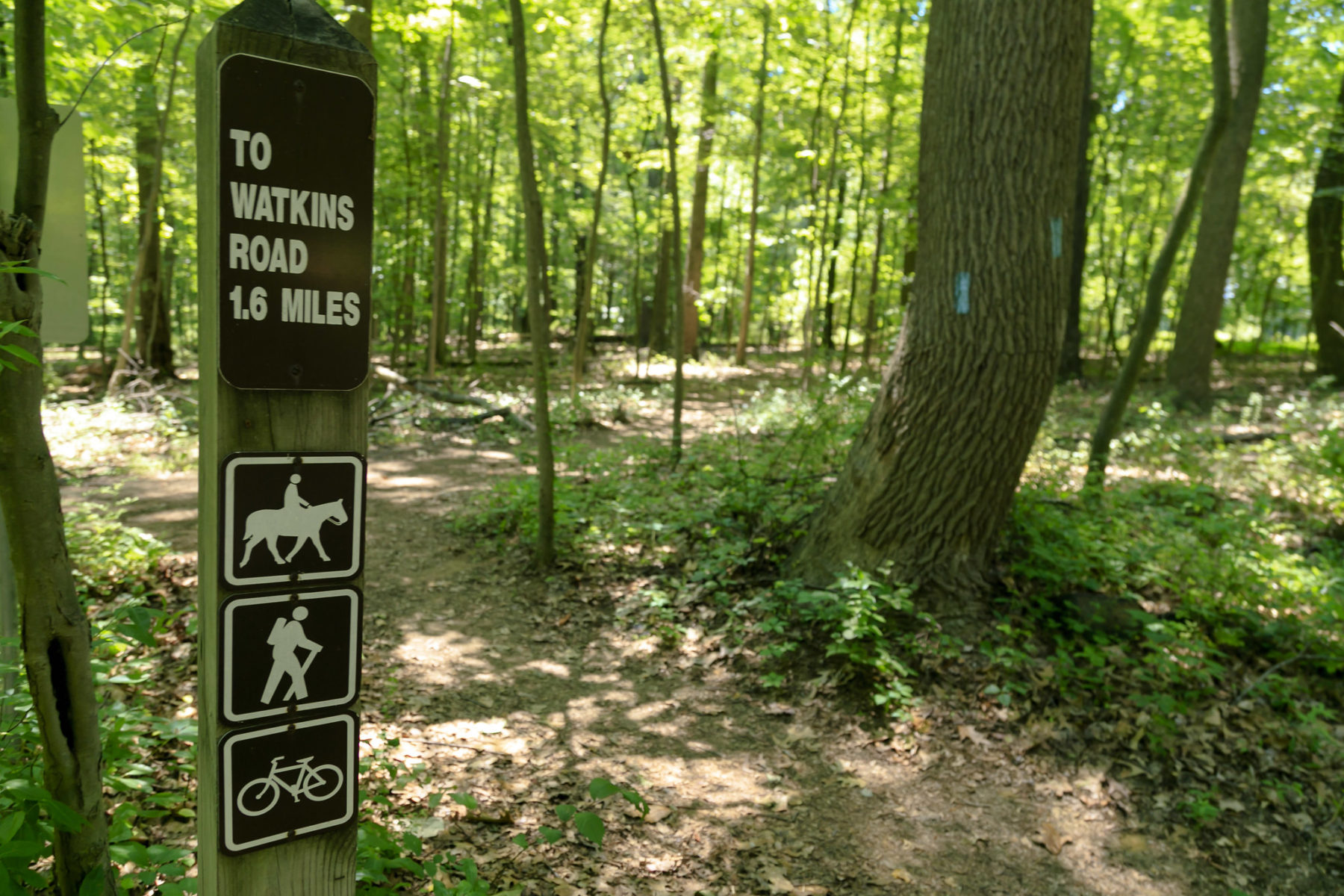 The trail marker indicates that the natural surface Magruder Stream Valley Trail is open to equestrians, hikers, and cyclists.