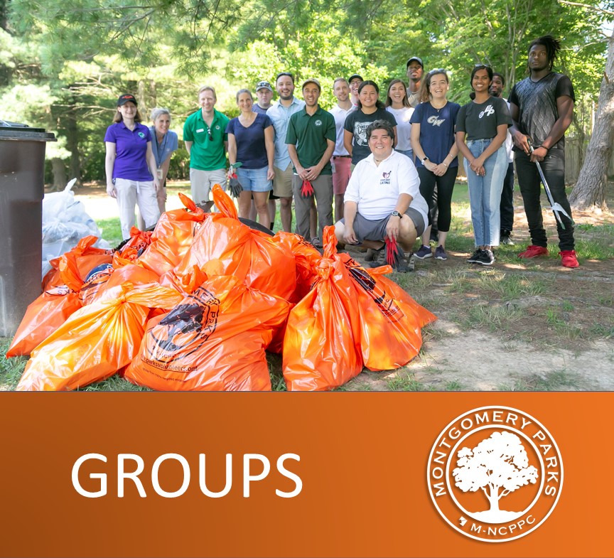 Plant, Tree, Orange trash bags, volunteers at cleanup, text: GROUPS, montgomery parks logo