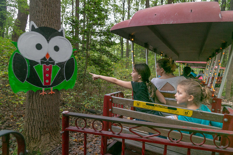 girl riding train pointing to image of an owl