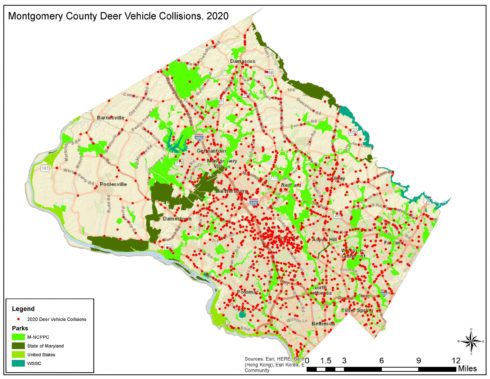 map of deer-vehicle collisions in Montgomery County