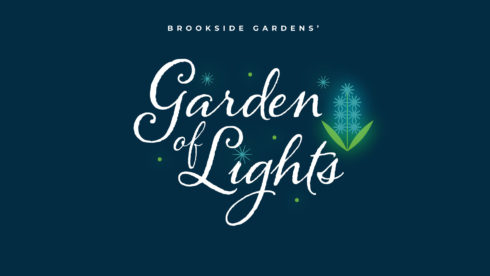 Brookside Gardens Garden of Lights
