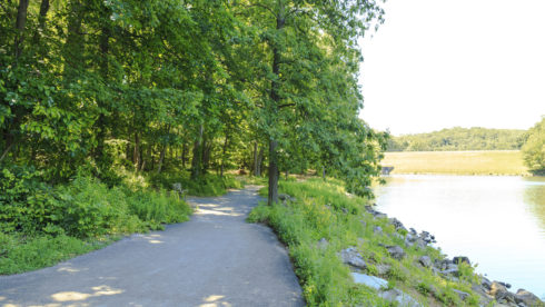 paved trail next to water