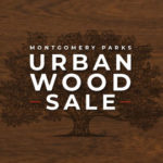 Urban Wood Sale – Graphic