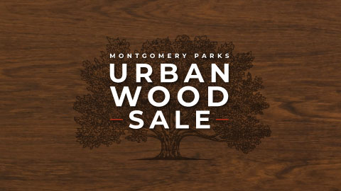 Urban Wood Sale December 9th and 10th