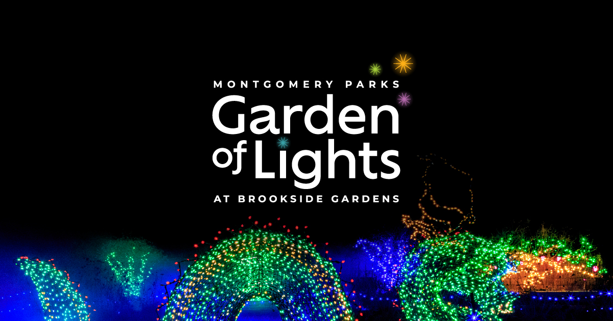 Garden of Lights Web Graphic