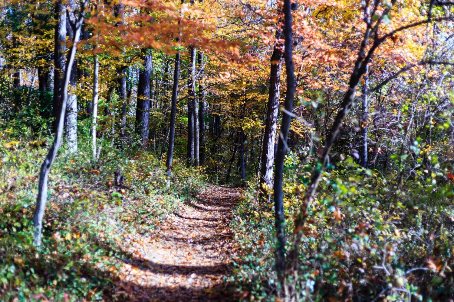 underground railroad experience trail