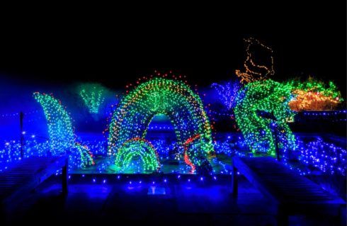The sea dragon adult and baby light display at Garden of Lights.