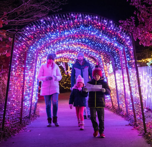 Two adults and two children walking through Garden of Lights display at Brookside Gardens.