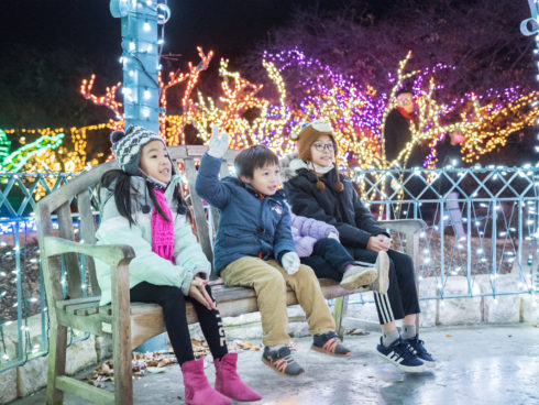 Three children dressed for cold weather sit on a bench with light displays in the background at Garden of Lights.