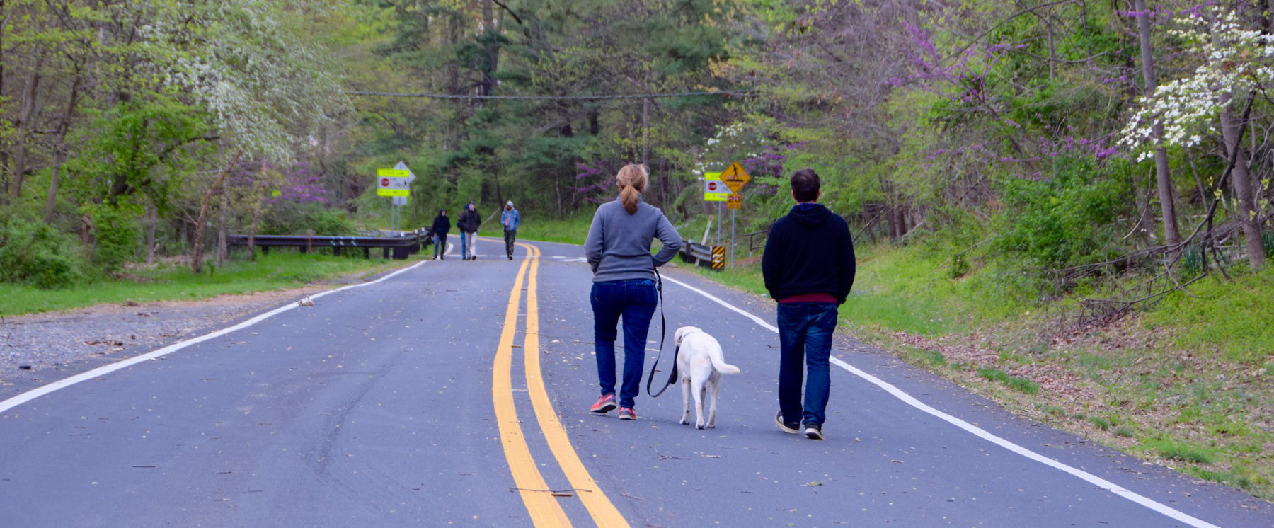 Photo of man and woman walking a dog on Open Parkways in Montgomery Parks