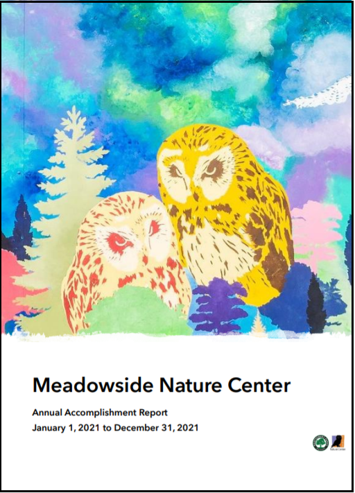 painting of owls meadowside nature center 