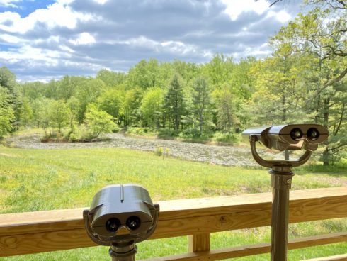 View of the pond and woods from the deck at Maydale Nature Classroom. In the foreground are two large sets of binoculars on stands for visitors to get a closeup look of nature around them. 