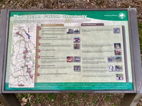 Interpretive panel about sights along Rachel Carson-Greenway Trail in Burnt Mills West Special Park. 